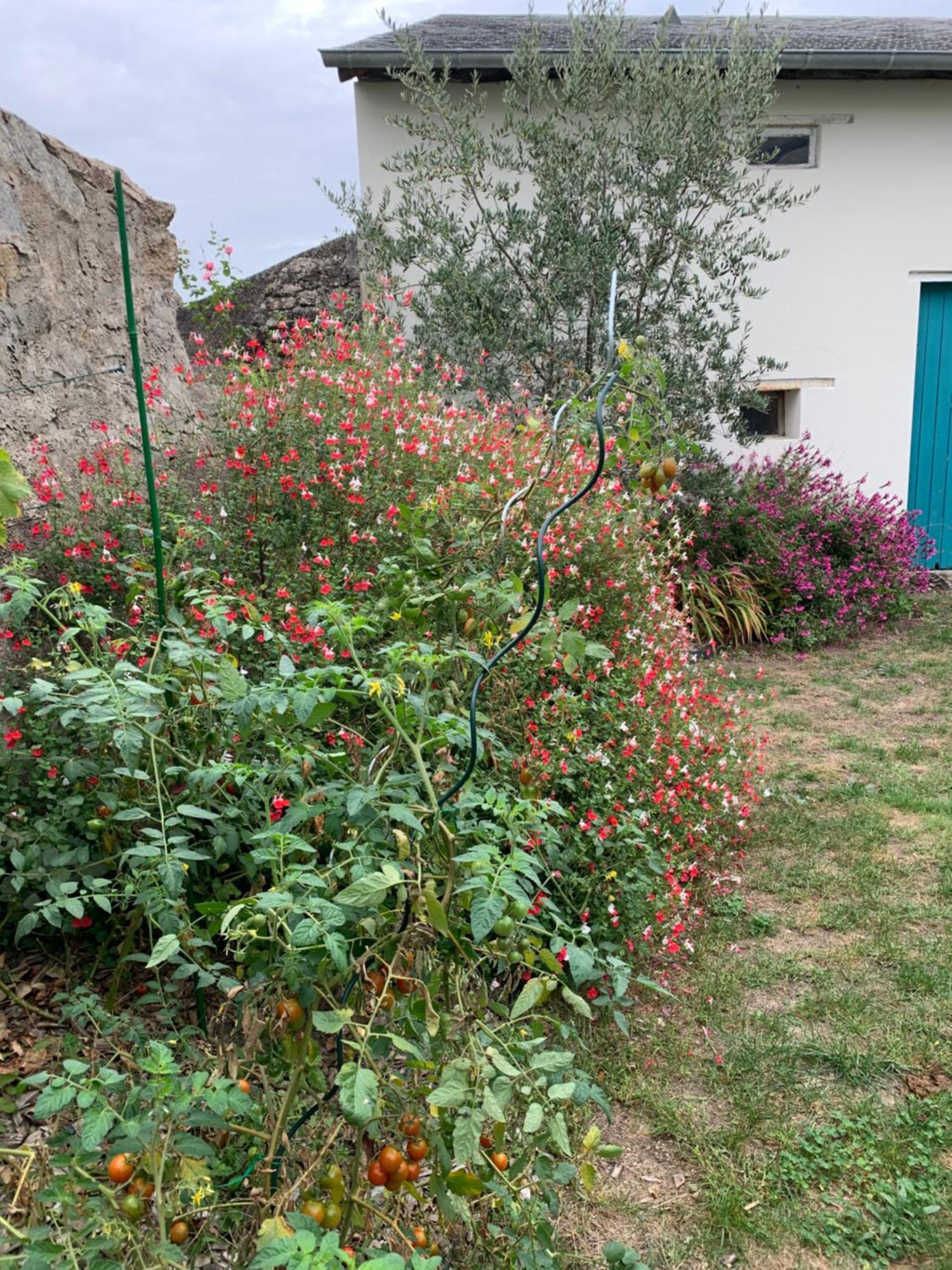 Chambre D'Hotes Les Petits Oiseaux Nantes Zewnętrze zdjęcie